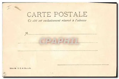 Flores de pereiro — ilustração botânica — C.T. & Cie, Série 90 — Verso