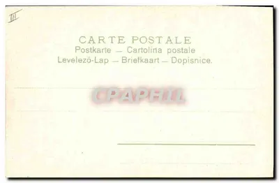 Lilie w zielonym naczyniu — seria 147 — C.V.D. — Rewers