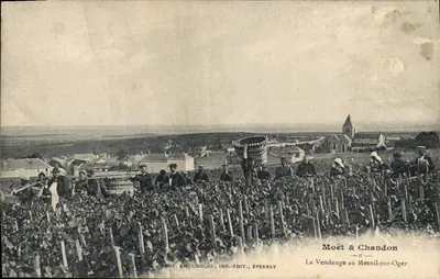 La Vendange au Mesnil-sur-Oger — scène de récolte dans les vignes avec une église en arrière-plan — éditeur Moët & Chandon, imprimé à Epernay