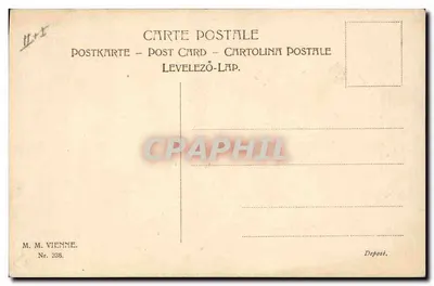 Menina segurando um cachorro e um cesto de hortência — Feliz Ano! 1906 — M. M. Vienne, Nr. 238 — Verso