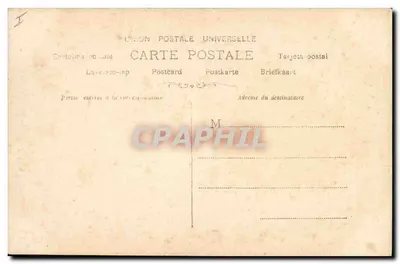 Gerânio — flor branca — S.P. n°1368 — Verso