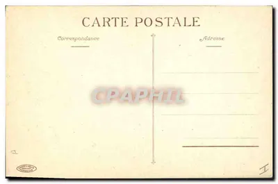 Mazzo di myosotis — illustrazione botanica — Cartes Méliès, Marsiglia — Verso