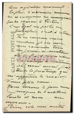 Limousiny w barbichecie — 22. Limousiny w barbichecie — Rewers
