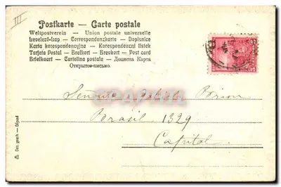 Flor de camomila — carta postal com texto manuscrito — editor desconhecido, número de série não visível — Verso