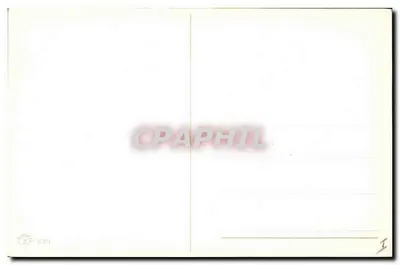 Kwitki mleczu — ilustracja botaniczna — wydawca nieznany, numer seryjny F2094 — Rewers