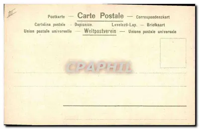 Flores de papoulas — ilustração — n° III — Verso