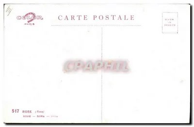 Rosen — botanische Illustration — Color Paris, n° 517 — Rückseite