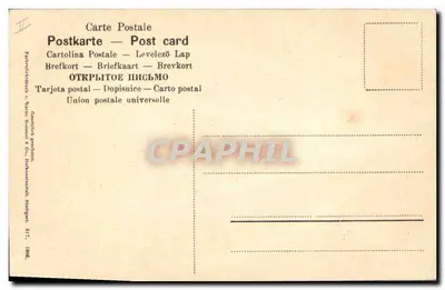 Flor de fritillária — ilustração botânica — Gebrüder Grimm & Co., Stuttgart, n° 617 — Verso