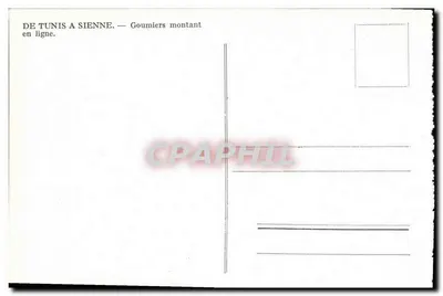 Goumiers montando em linha — De Tunis a Siena — Verso