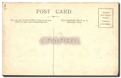 Celebración del jefe — escena de banquete — editor no identificado — Reverso