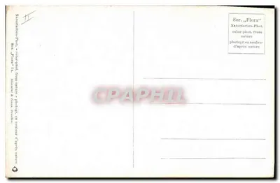Róże — seria Flora — wydawca Blumber & Jones, Hrodren — Rewers