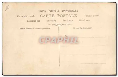Glaïeuls — fotografie — S. n° 1368 — Rewers
