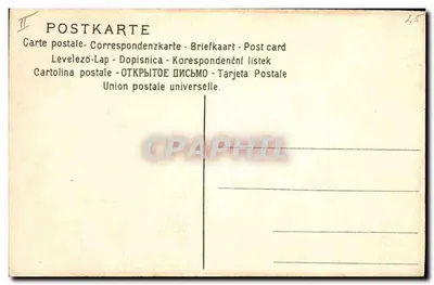 Czerwony trójkąt — ilustracja botaniczna — n° 195 — Rewers