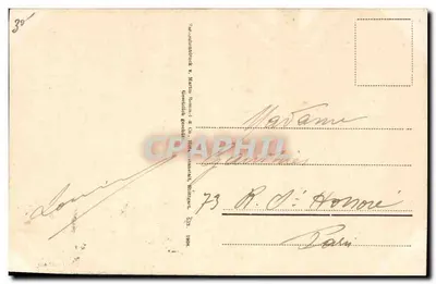 Clematis — ilustracja botaniczna — wydawca Martin & Co. Stuttgart — Rewers