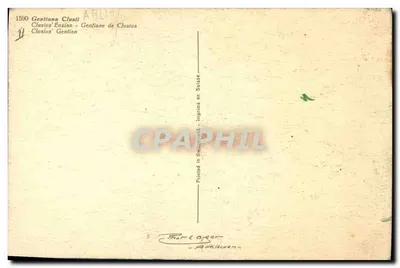 Gentiana de Clusius — Gentiana de Clusius — Impresso na Suíça — Verso