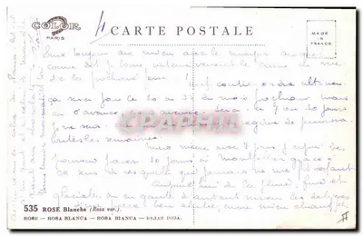 Rosas brancas — variedade Rosa var. — editor Color Paris, n° 10 — Verso