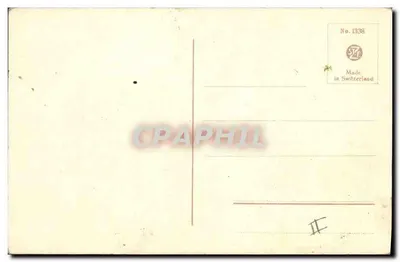 Bukiet kwiatów — peonie — STF, nr 1338 — Rewers