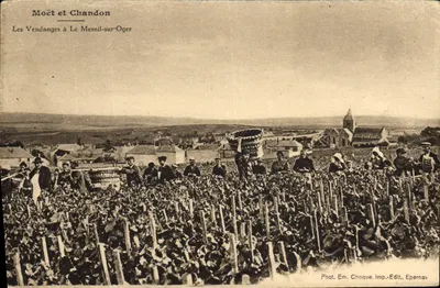As vindimas em Le Mesnil-sur-Oger — Moët et Chandon — Fot. Em. Choque, Imp. Edit. Epernay