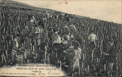 Bilhete postal antigo Folklore Vinho Vinicultura Colheita Champanhe Montebello Mareuil sur Ay perto de Epernay