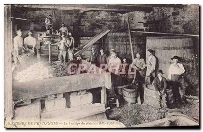 Cenas de Colheita de Uvas — O Esmagamento das Uvas — BR - 1468