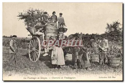As Colheitas na Sologne — Carrinho de Colhedores — Coleções ND Phot