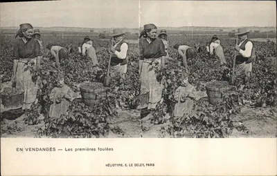 Durante a colheita — As primeiras esmagadas — Héliotypie E. Le Deley, Paris