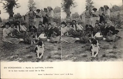 Em Colheita — Após a colheita, a refeição e o bom cachorro também fazem parte da festa — Stéréo 'Le Merveilleux' Brevelepose T. L. D. Paris