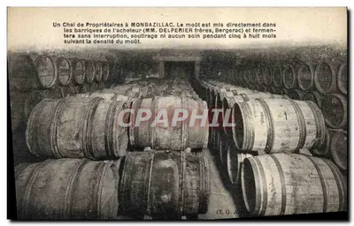 Chai dos proprietários em Monbazillac — Fermentação do mosto em barricas — M. Delperier frères, Bergerac