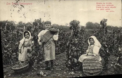Les Petites Vendangeurs — cena de colheita em uma vinha — editor Ranco Frères, Dépôt