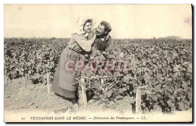 Colheitas no Médoc — Diversão dos Colhedores — LL. — N°10