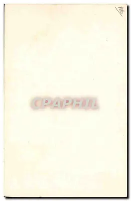 Arranjo de crisântemos — E. Aufrère, 99 Boulevard Magenta, Paris — Verso