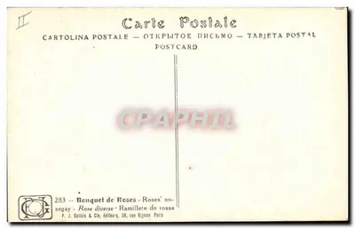 Bouquet di Rose — Rose diverse — P. J. Gallais & Cie, Parigi — Verso