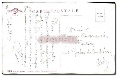 Ervas-de-passarinho — Echinops ritro e Carlina Corymbosa — G.-I. Bert, n°8 — Verso