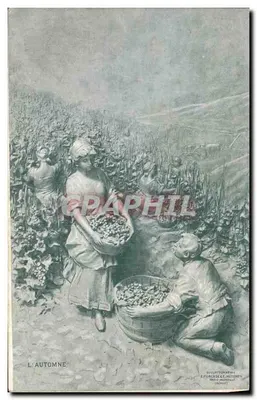 L'Automne — Scène de récolte — Éditeur : E. Forcade & C. Mettenen (dépôt)