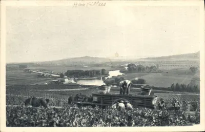 Scène de vendange à Hautvillers — vue panoramique avec vignes et rivière — éditeur A. Breuer, Cachan (Seine) — n°3
