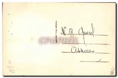 Flor seca — Pansé e margarida — Marca TM, Depósito — Verso