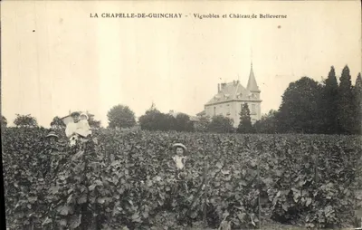 La Chapelle-de-Guinchay — Weinberge und Schloss Belleverne — Verlag unbekannt