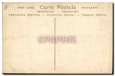 Albi — Katedra, organy — ND Pbot. — Rewers
