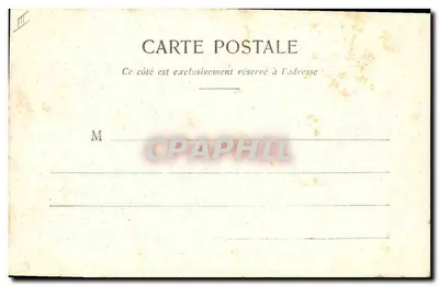 Alghe marine, Indie Occidentali — Collezione di Poulbresin, Cannes — Riproduzione riservata — Verso