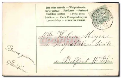 Bouquet of Purple Flowers — illustration — publisher and series number not legible — Back