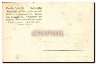 Flores de crisântemo — Lembrete — Carta postal universal — Verso