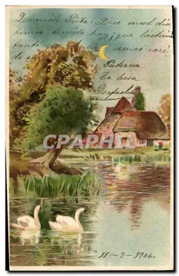 Canards sur un lac — maison au bord de l'eau — éditeur non visible