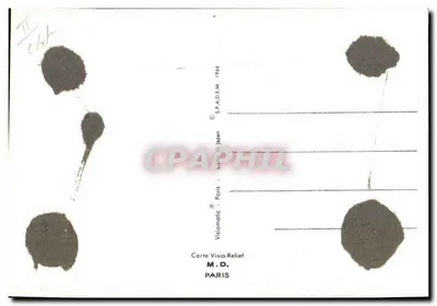 Dois cães em um jardim — edição Visiomalic Paris — n° II — Verso