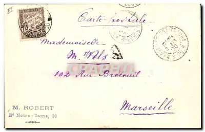 Carthamo-bloemen — waterverf van Mathilde — 2/40 — Achterkant