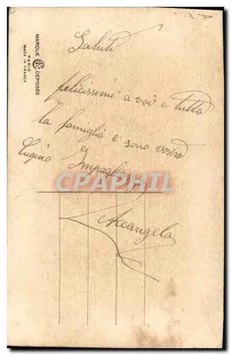Fiori ricamati — motivo floreale su tessuto — Maroque Paris — Verso