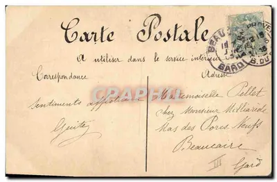 Flores rosas — ilustração — Carte Postale — Verso