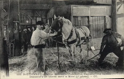 St-ÉTIENNE (Loire) — Industrie, Handel, Lokale Betriebe — Abstieg eines Pferdes in die Mine (1. Phase) — CC.
