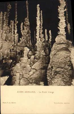Aven Armand - A Floresta Virgem — Foto E.-A. Martel