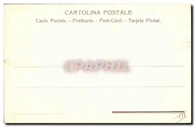 Glaïeul rosa — ilustração botânica — n° 402 — Verso