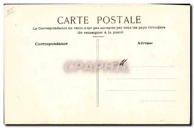 Raposa — desenho a lápis — sem editor ou número visível — Verso
